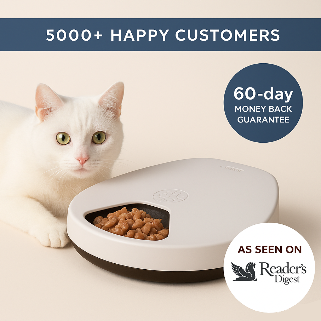 Rylvio™ Cat Feeder