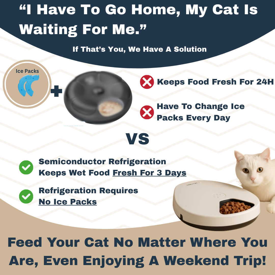 Rylvio™ Cat Feeder