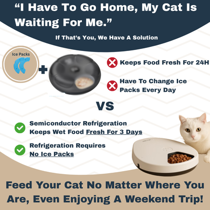 Rylvio™ Cat Feeder