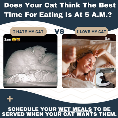 Rylvio™ Cat Feeder